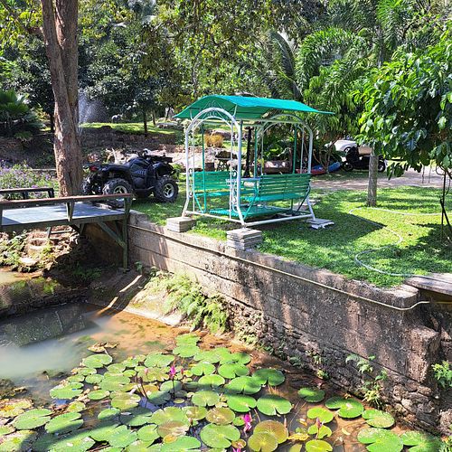  at Khiang Kao Forest & Cafe in Phuket