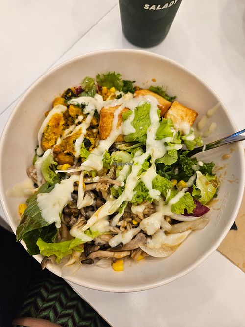 Warm mushroom bowl with creamy jalapeño sauce at Salady - Seomyeon in Busan