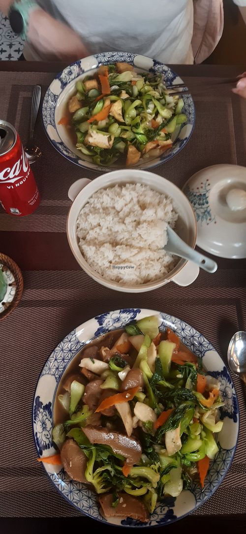 Mushroom veg, tofu veg and rice at An Tam Coc in Ninh Binh