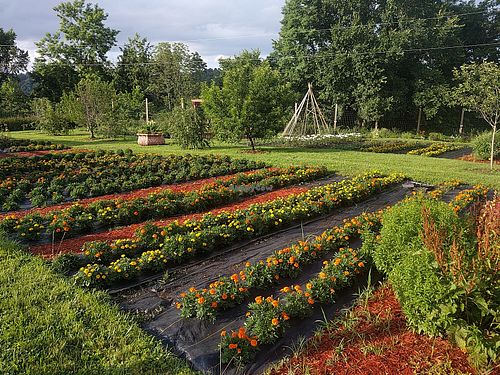 Garden of Gratitude crops at Govinda's Restaurant in Moundsville