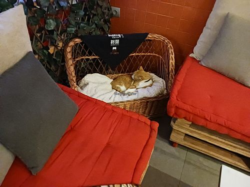 Restaurant interior at Restaurante Il Bandito in Altea