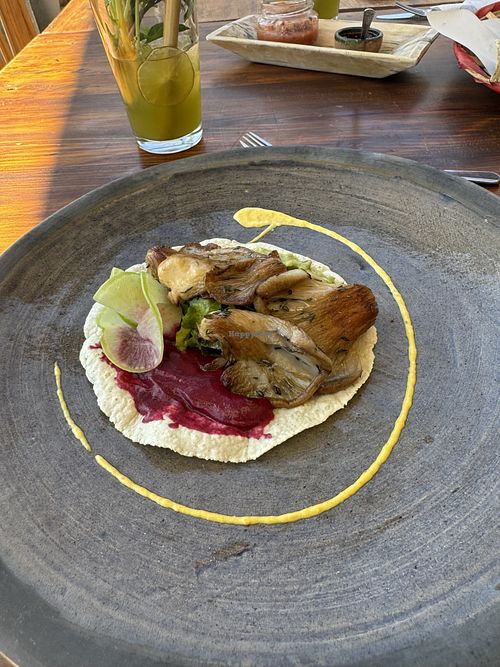 Taco de Setas  at Luz de Luna in Oaxaca