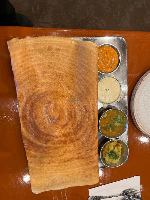 Masala dosa  at Nala's Kitchen in Plymouth