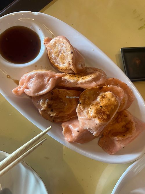 Pan fried tofu, cabbage and carrot dumplings at Dumplings & Tea in Chesterfield