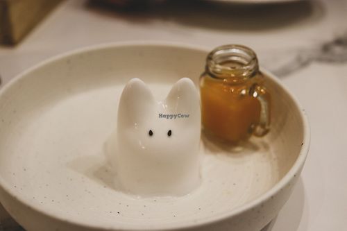 pudding with mango sauce at Rice On Rice in Nha Trang