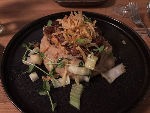 Igelstachelbartpilz auf Topinambur-Creme at Unterfreunden in Luebeck