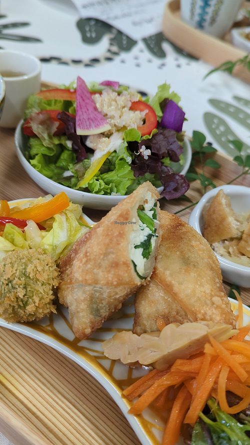 ヴィーガン春巻き at Gekko Vegan Cafe - 月虹 in Ehime