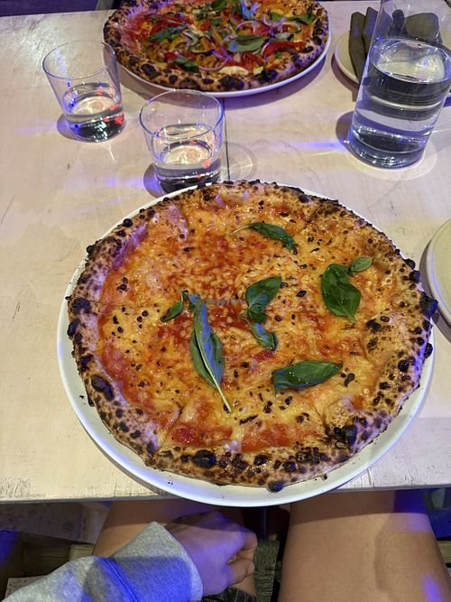   at Italo House in Bondi Beach