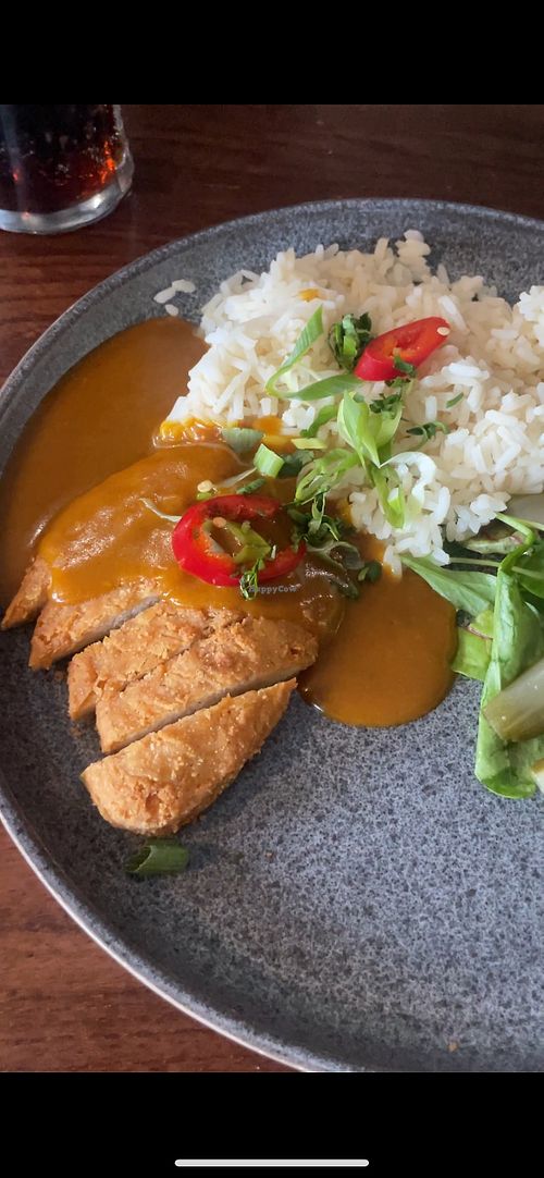 vegan curry option available!  at The Dirty Duck in Coventry