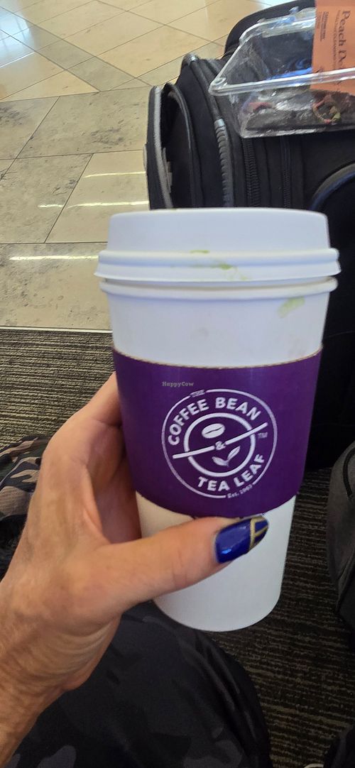  at The Coffee Bean and Tea Leaf in Calabasas