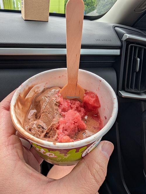 Chocolate and strawberry sorbets at Grocer's Daughter Chocolate Gelato + Sweets Shop in Empire