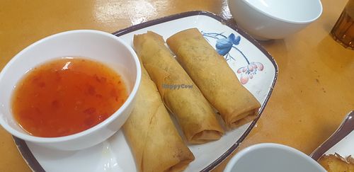 Vegan spring rolls at Dumplings Eats in Frankston