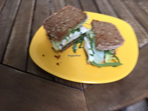vegan cheese sandwich on oat bread at The Hatori Place Cafe in Varna