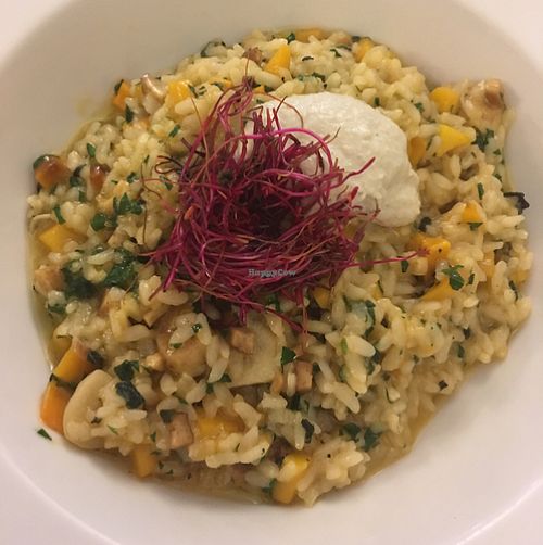 risotto with cashew cheese  at Plevel in Prague