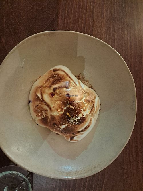 Roots - Plant Based Pleasure