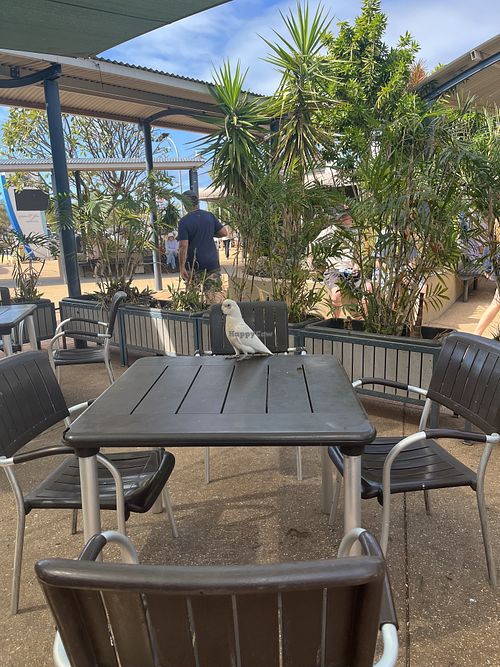 Outdoor seating   at Ningaloo Bakehouse & Cafe in Exmouth