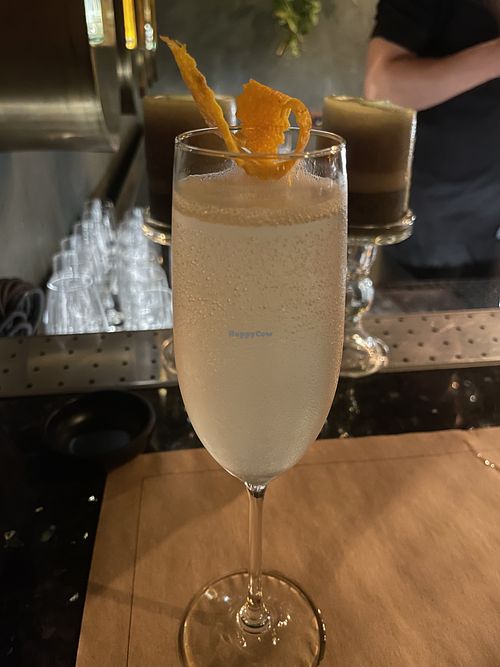 Cocktail   at Mugo in Tirana