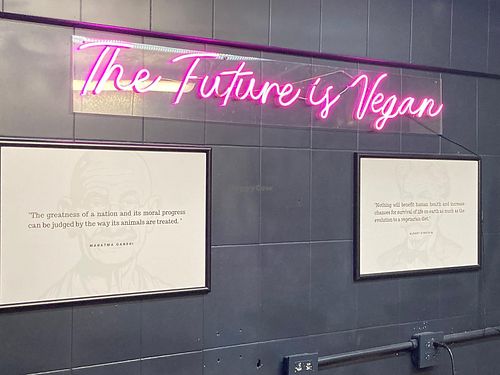   at Marcello's Plant Based Pizza in Cabo San Lucas