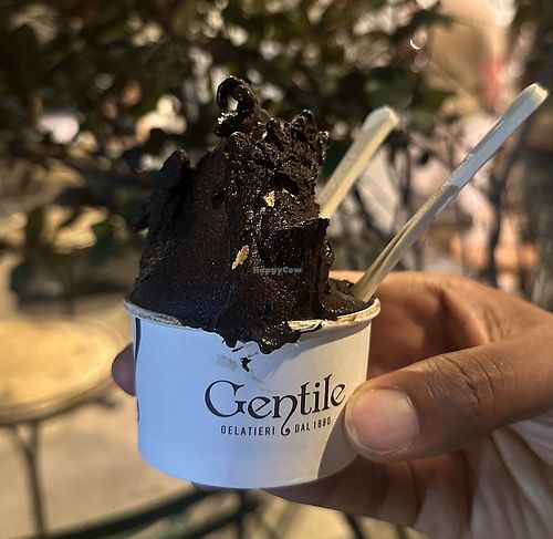 Fondente (dark chocolate)  at Gelateria Gentile - Williamsburg in New York City