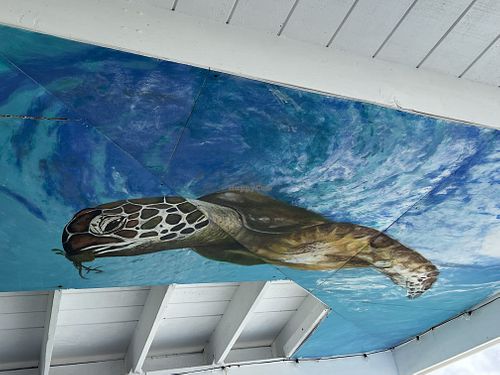 Painting on the ceiling  at On Da Beach Bar and Grill in Great Abaco