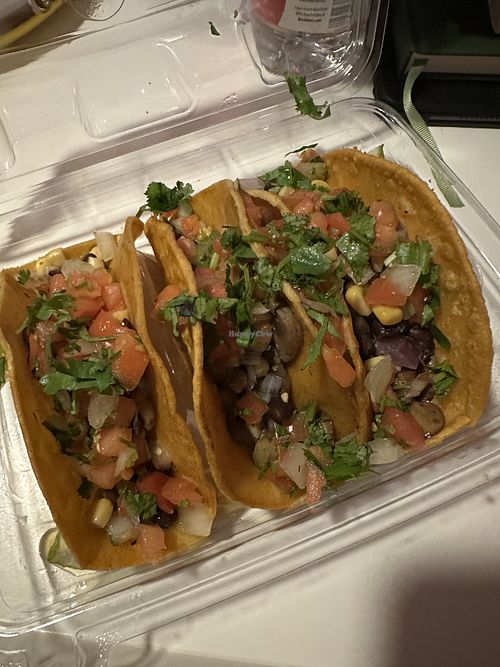   at Talkin' Tacos in Orlando
