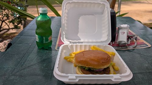 Yummy veg burger combo! at Soda Oasis el Coco in Coco