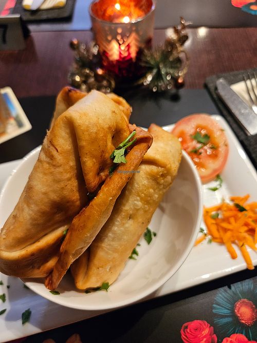 Mini Burrito (Vorspeise) at Kaktus Mexican Food in Bielefeld