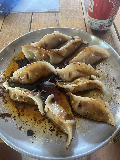 Vegan dumplings 😍  at Macondo Guesthouse & Dumplings in Koh Rong