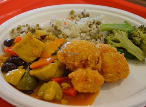 Curry tofu, rice+mung, fried kauliflowers in clair, broccoli at Loving Hut - Radlicka in Prague