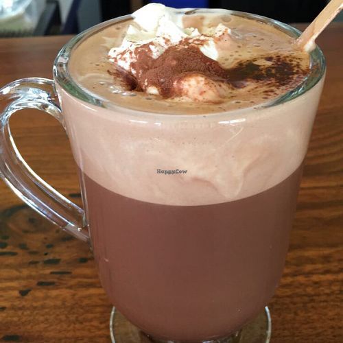 hot chocolate  at Great Sage in Clarksville