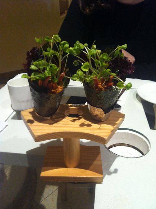 Wakame seaweed wraps-- with fake sausage, fake meat floss I think, and some veggies at Zǎozǐ Shù - Vegetarian Life Style - Yuanshen in Shanghai