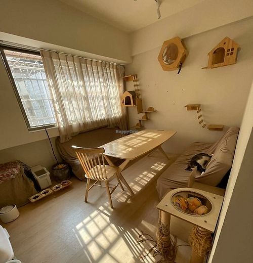 upstairs cat hangout room at JiuSuo Plant-based Eatery - 玖所 in Kaohsiung