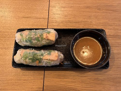 Spring rolls (Nem-song-tofu)  at PRG - Banh-Mi-Ba - T2 in Prague