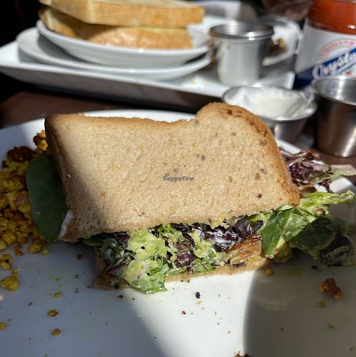 The BLAST (vegan BLT) with gluten-free bread. Very good but not enough tempeh bacon  at Tree House in St Louis