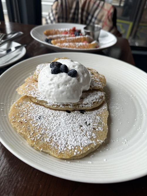 Blueberry Pancakes  #Veganuary at Tree House in St Louis