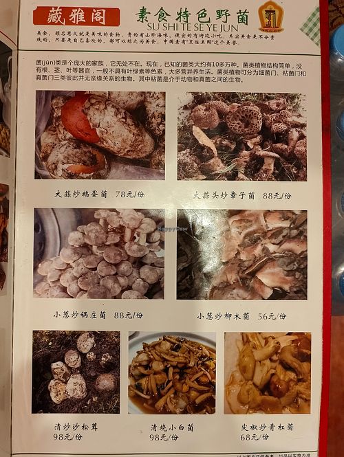 menu for assorted mushrooms at Tibetan Accord Restaurant - 藏雅阁 in Songpan