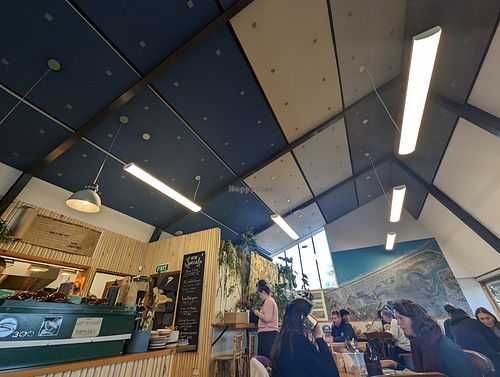 Inside at Dune Cafe in Christchurch