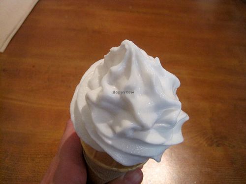 Temptation Soft Serve served in the summer. at Vegan Rapide - Sherbrooke in Montreal