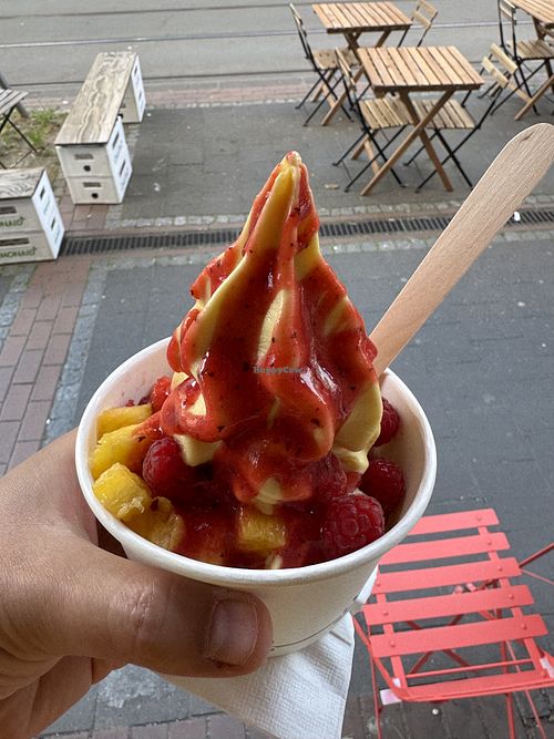 Vegan Frozen Yogurt with a Strawberry and Mint sauce and some fruits 😊  at Shiyogu Frozen Yogurt in Dusseldorf