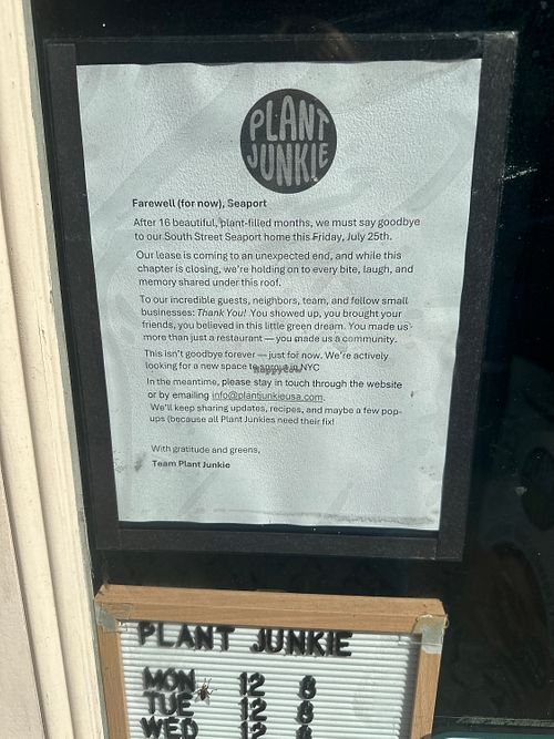   at Plant Junkie - Front St in New York City