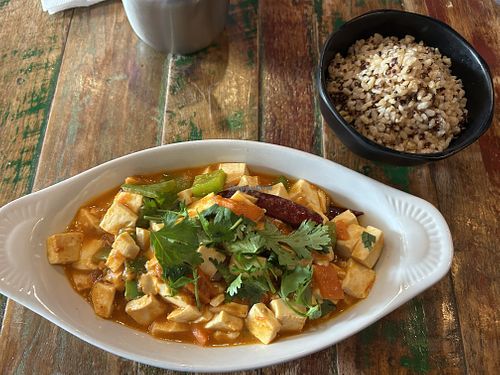 Spicy tofu with veggies and a side of rice   at Himalaya Tibetan Momo in Nyack