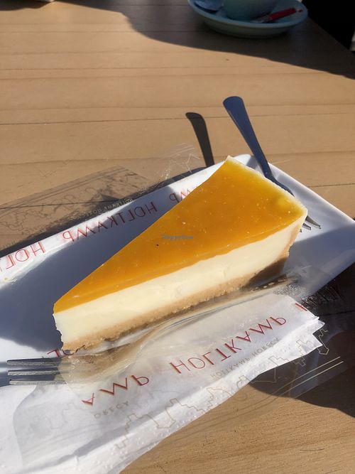 cheesecake  at Tuincafe Botanica  in Utrecht