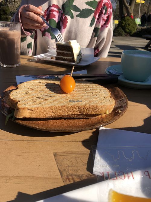 tosti w lentils and vegan cheese  at Tuincafe Botanica  in Utrecht