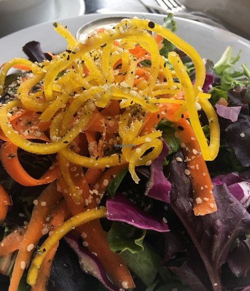 Colorful salad at Harlow in Portland