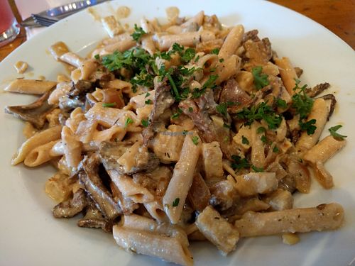 Mushroom Stroganoff at Harlow in Portland