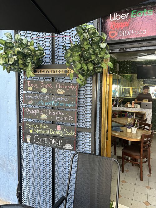 Outside  at Roots in Mexico City