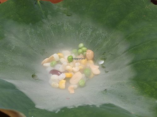 Desserts on lotus leaves with dry ice below at Qing Ya Cha Su - 青雅茶素 in Hangzhou