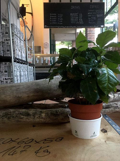 Surf Shop Roastery  at Surf Shop Roastery in Hamburg