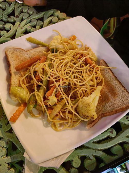 Pasta at El Patio de Tortuguero in Tortuguero
