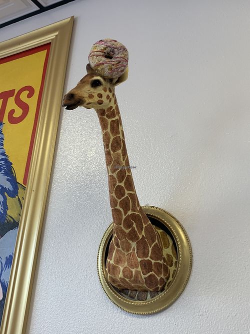   at Chani's Donuts in San Diego